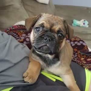 Meet your Posher, Andy